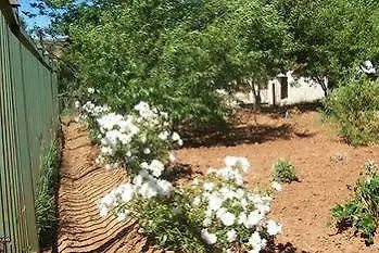 Aligeo Guest House Sterkspruit Hotel