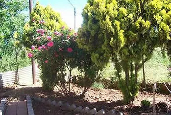 Hotel Aligeo Guest House Sterkspruit