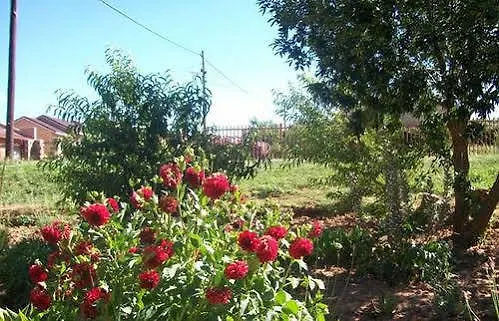 Hotel Aligeo Guest House Sterkspruit